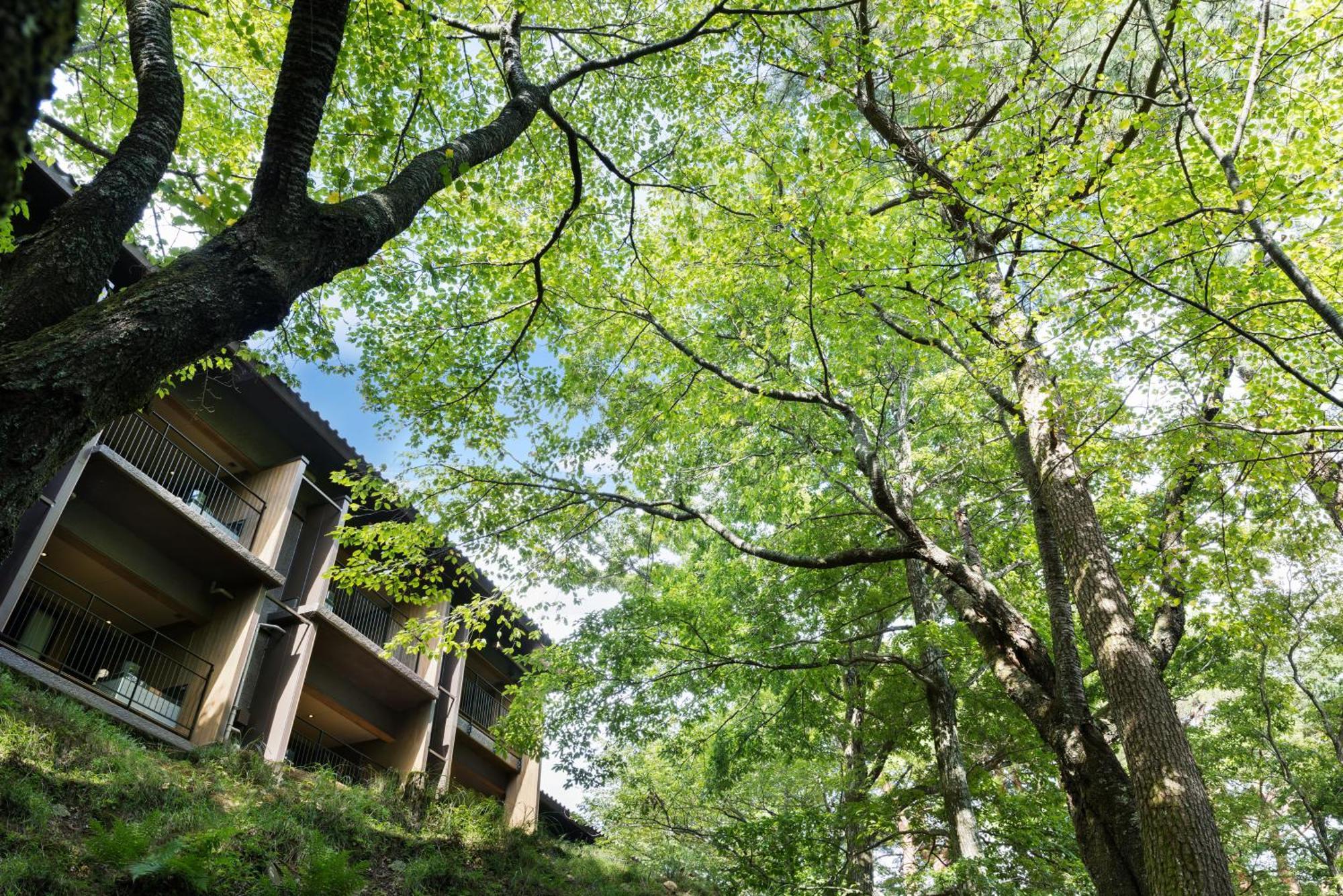 Laforet Shuzenji Sanshisuimei Izu  Esterno foto