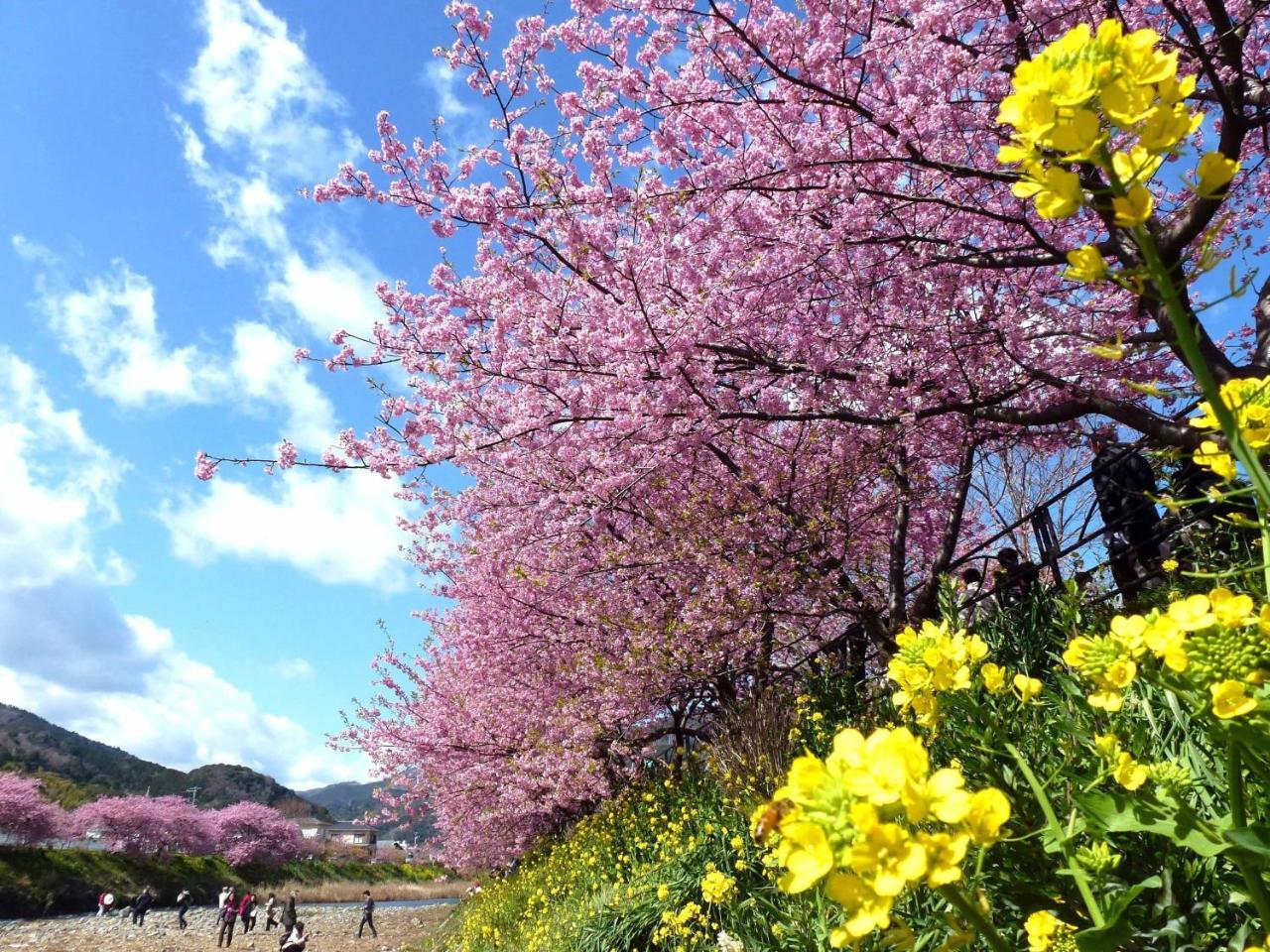 Laforet Shuzenji Sanshisuimei Izu  Esterno foto
